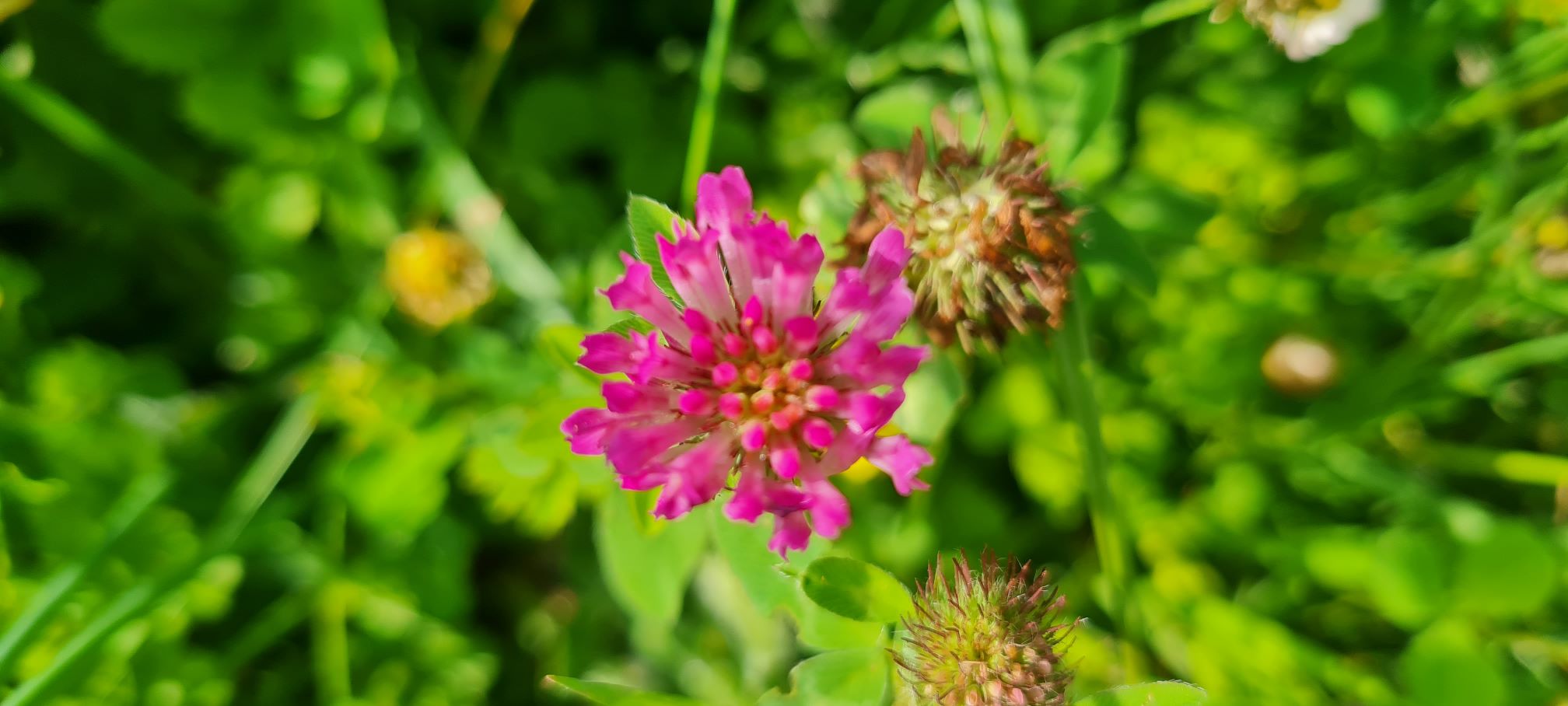 20240605 1636311.jpg web