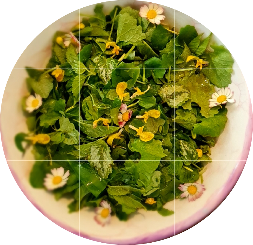 SmartSelect 20220511 163607 Photo Editor